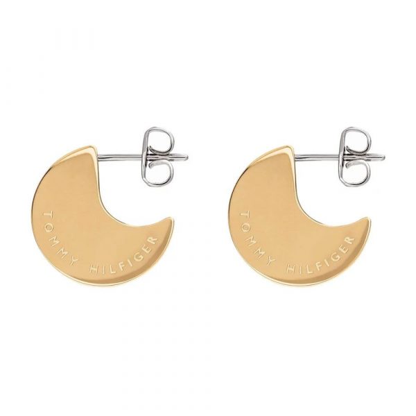 Tommy Hilfiger female earrings THJ2780257